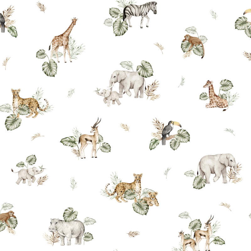 Kokon Safari